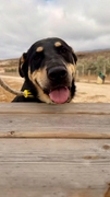 NERO Imagen 6